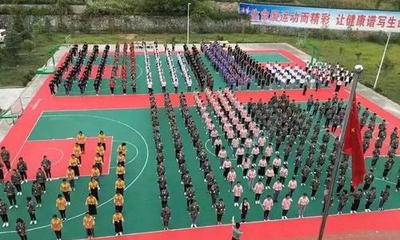 山东体育单招数学考试大纲2