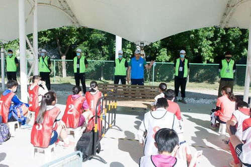 从6到121 体育单招走过35年