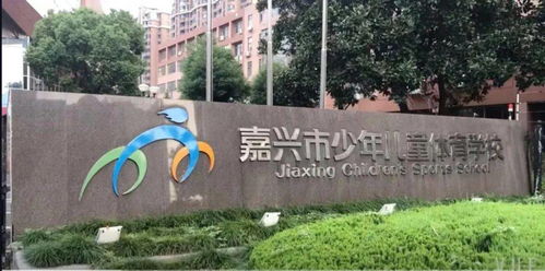 市少体校游泳启蒙选材招生啦