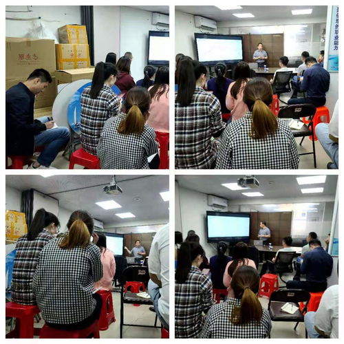 广东科搏工业用品开展水泥行业关键设备轴承应用专题培训