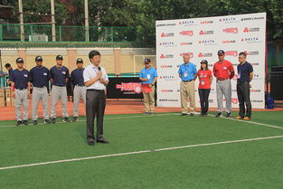 三元mlb活动回顾