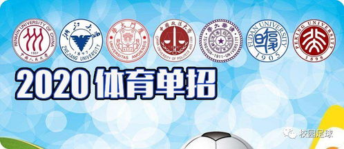 日本小学生室内球感练习法