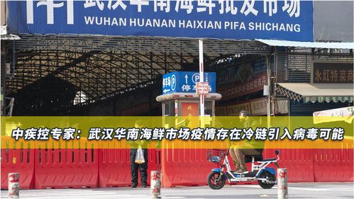 新冠溯源重大发现 中疾控找到新线索,武汉疫情暴发源头或是境外