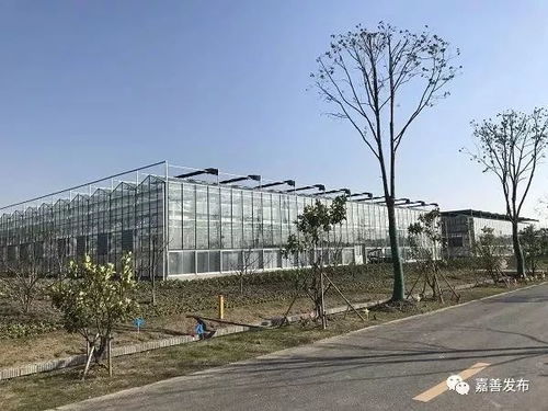 骄傲 嘉善这几个地方跻身省级榜单
