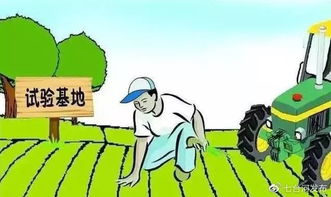 七台河 肥沃黑土地 铁牛 地里忙 春播正当时