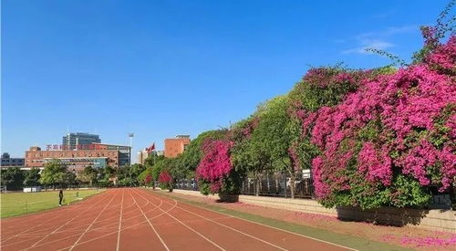 温馨提示 关于2021年体考期间校内交通组织的有关通知