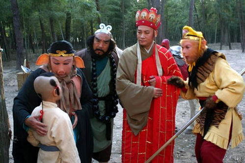 红孩儿 赵欣培 考上北大读博士,43岁成公司cto身价过亿