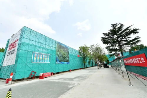 十一 前开放,东方化工厂变成了这样