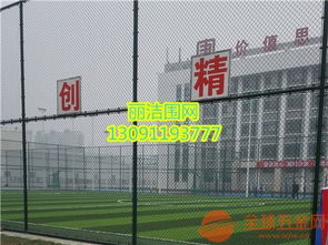 篮球场围网在安陆市的选择、安装及体育单招培训指南