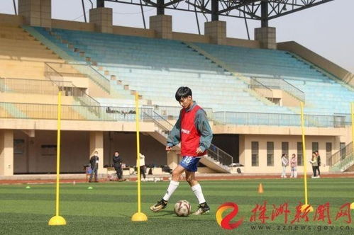 单招开考铃响,湖南铁科职院以“十八般武艺”助力五千学子逐梦体育单招