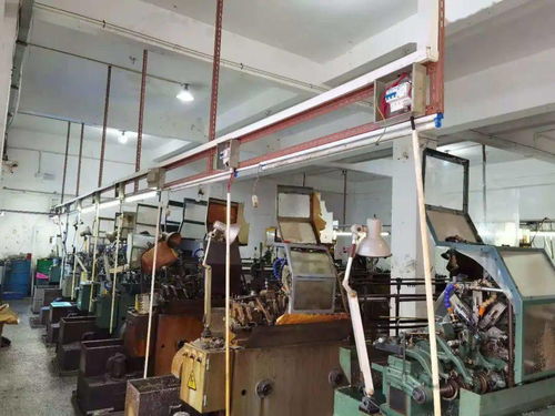 体育单招培训机构乱象曝光 这些企业被点名警示