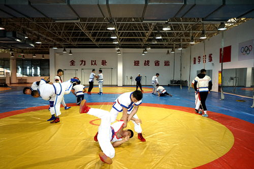 体教融合 陕西实践下的体学共长之路