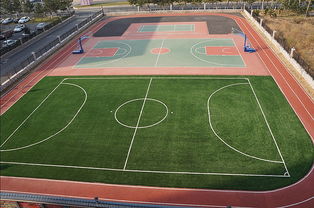 塑胶运动场地建设与体育培训服务一体化解决方案