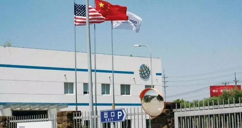 百事食品华东区销售培训生与土豆侠项目 探索体育单招培训新路径