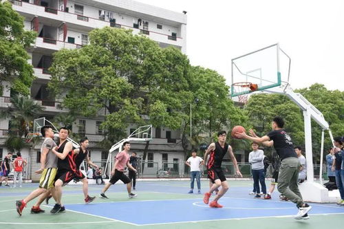 湖南信息职业学院2021年体育单招培训简章