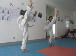 北京汉都跆拳道朝阳区定福庄分馆第二期体育单招培训火热招生中